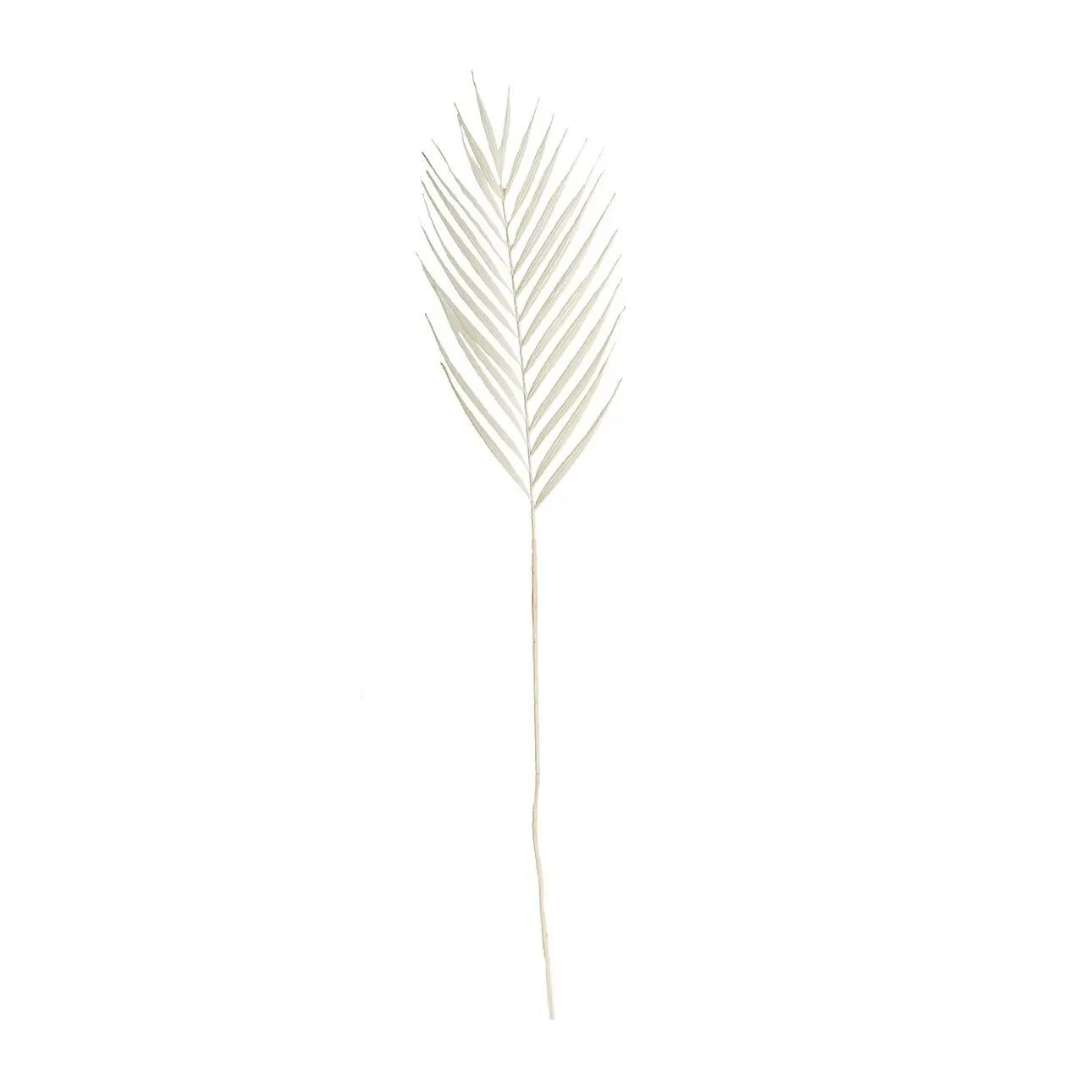 Dekoria Dekorativní větvička Palmera 95 cm white, 22x1x95 cm