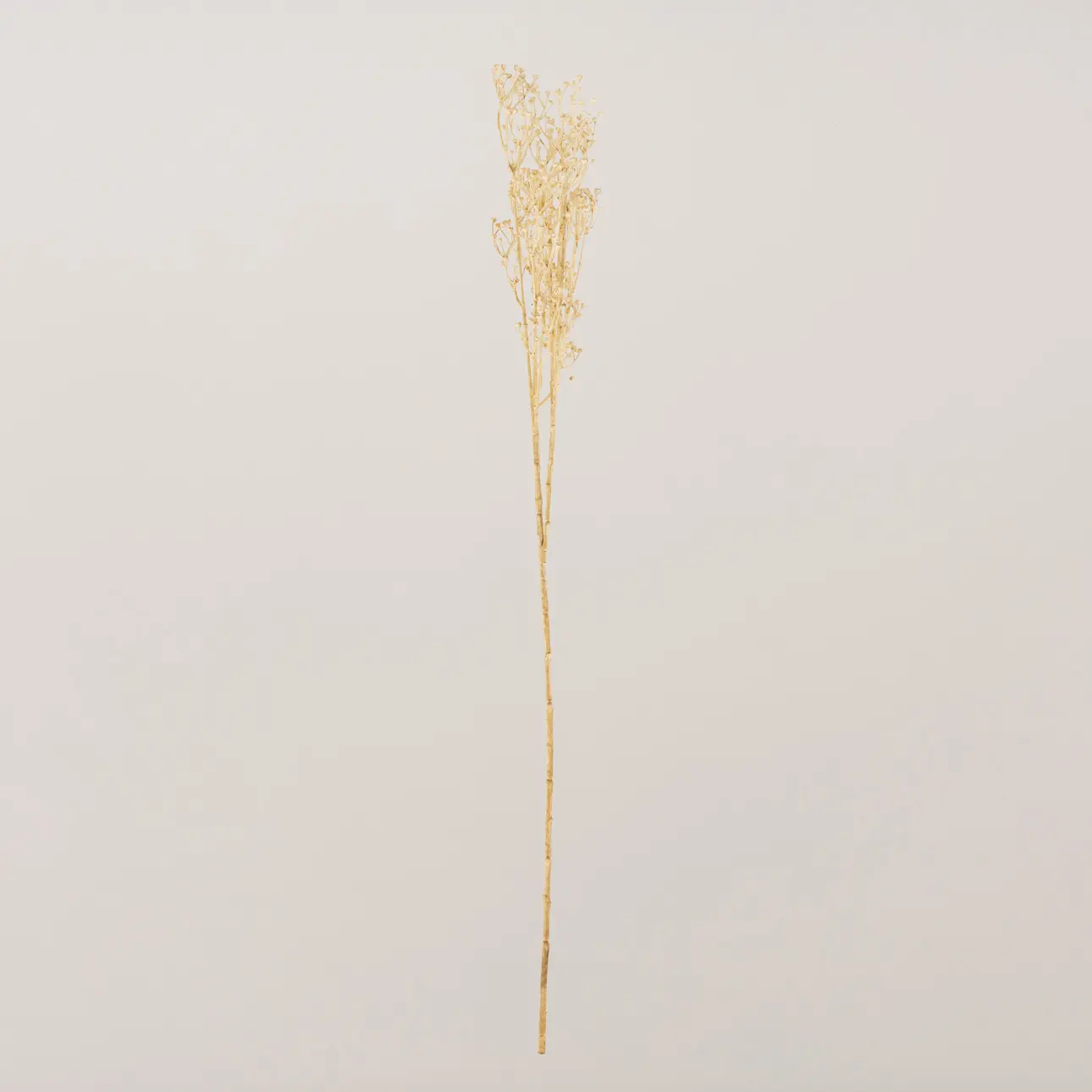 Dekoria Větev Frostbloom ecru 80 cm, 5x80 cm