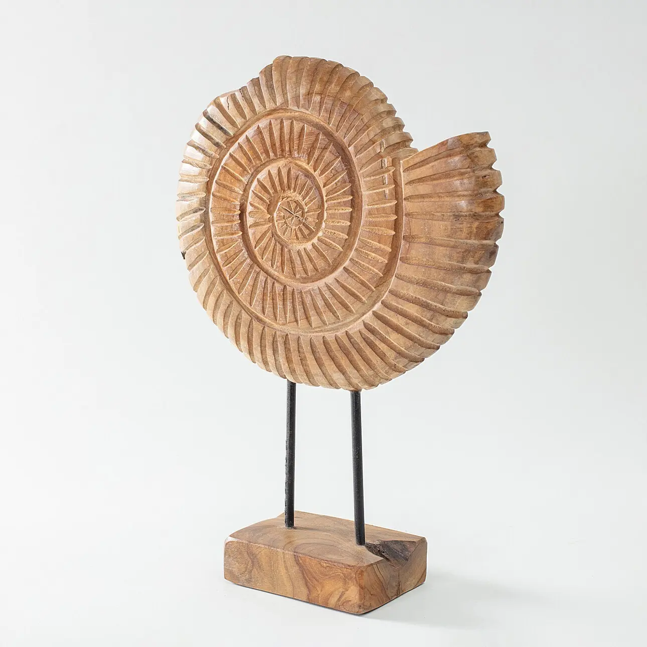 Dekoria Dekorace Fossil 45 cm, 34x10x45 cm