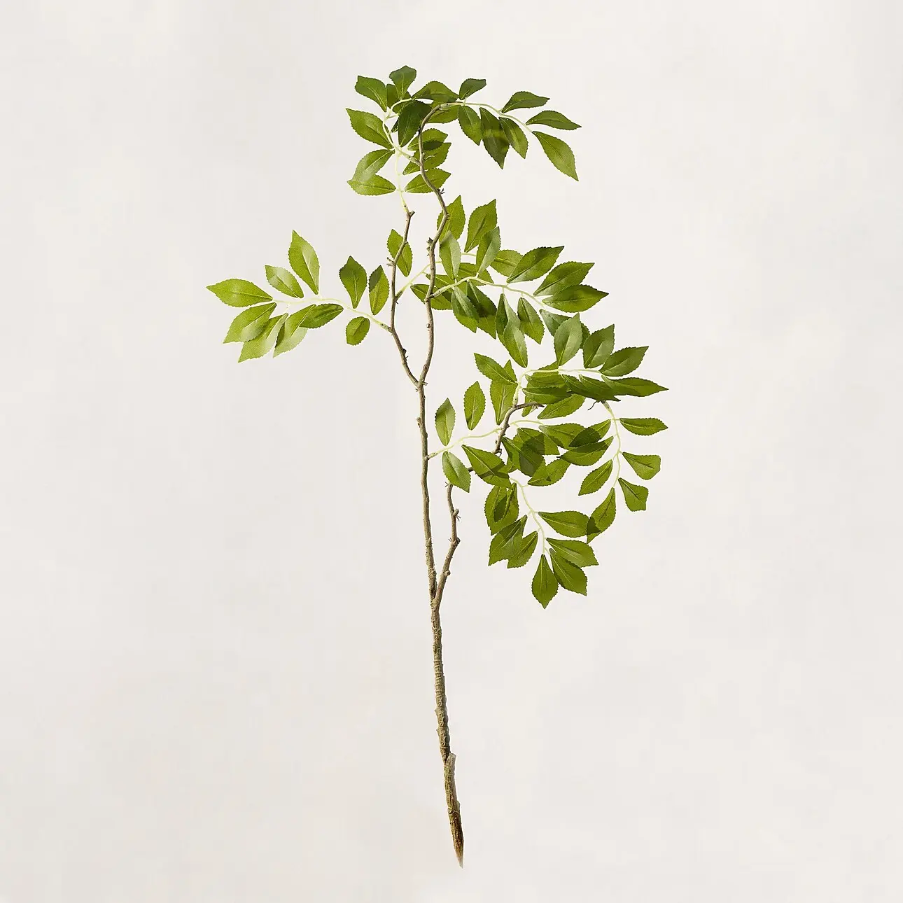 Dekoria Dekorativní větvička Green Leaf 80 cm, 20x2x80 cm