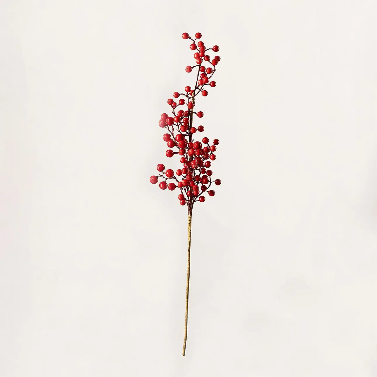 Dekoria Dekorativní větvička Cranberry 66 cm, 10x10x66 cm