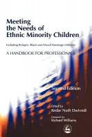 Meeting the Needs of Ethnic Minority Children - Including Refugee, Black and Mixed Parentage Children