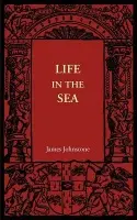 Life in the Sea - Johnstone, James