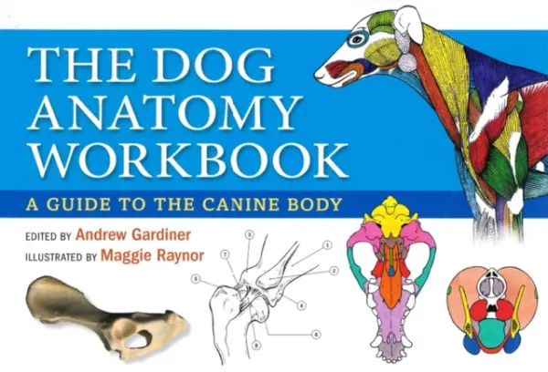 Dog Anatomy Workbook - Gardiner, Andrew a Phillips, Claire