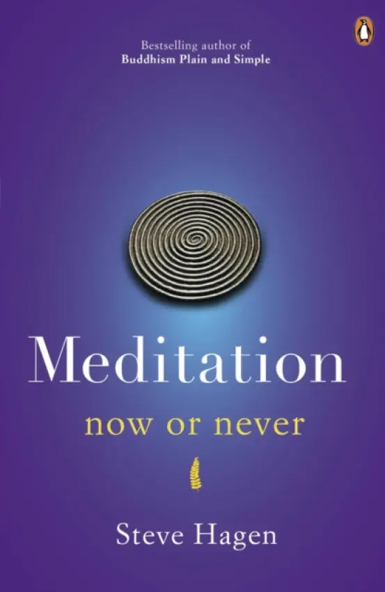 Meditation Now or Never - Hagen, Steve