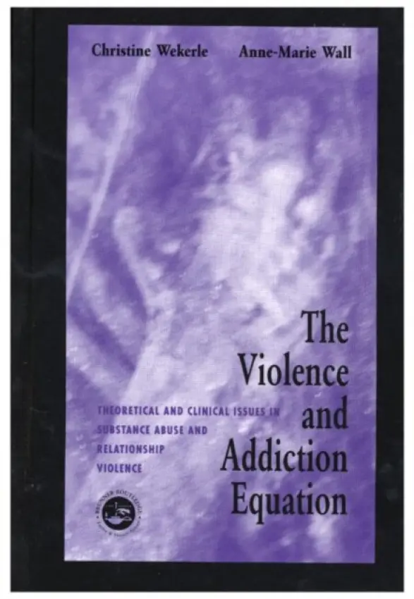 Violence and Addiction Equation
