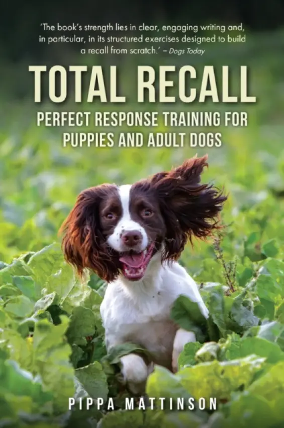 Total Recall - Mattinson, Pippa