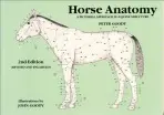 Horse Anatomy - Goody, Peter