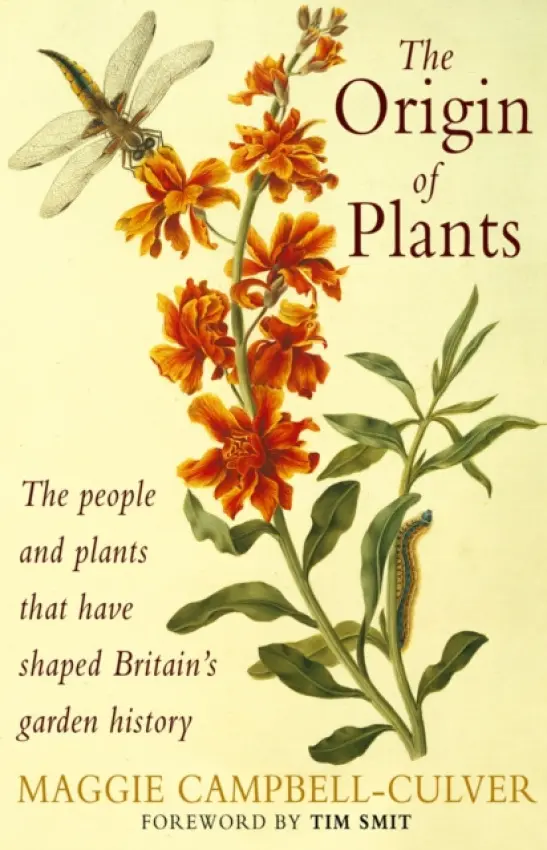 Origin Of Plants - Campbell-Culver, Maggie