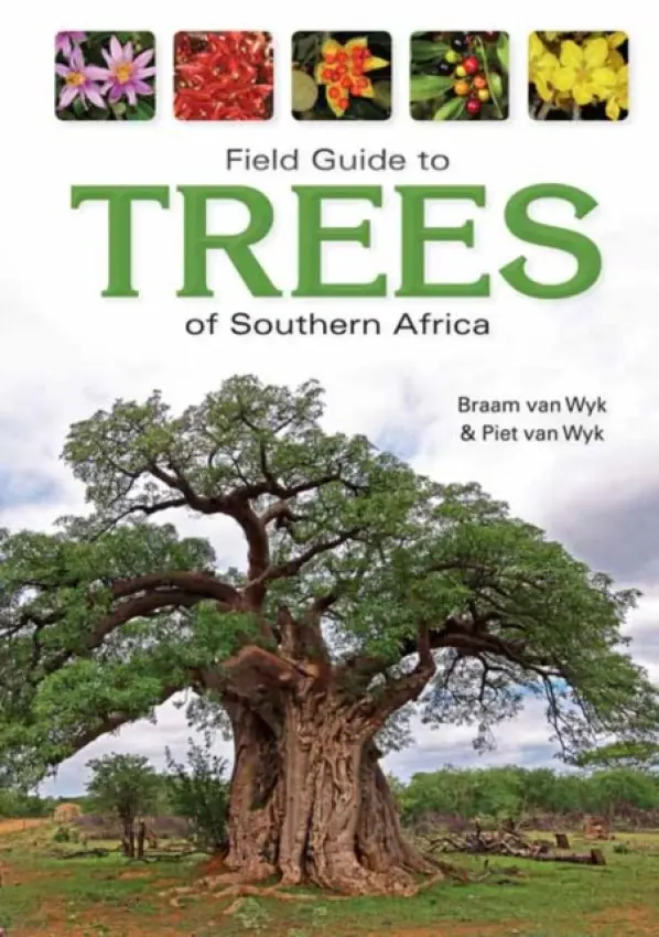 Field Guide to Trees of Southern Africa - van Wyk, Braam