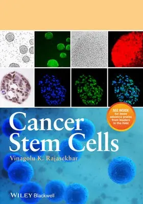 Cancer Stem Cells - Rajasekhar, Vinagolu K.