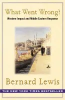 What Went Wrong? - Lewis, Bernard