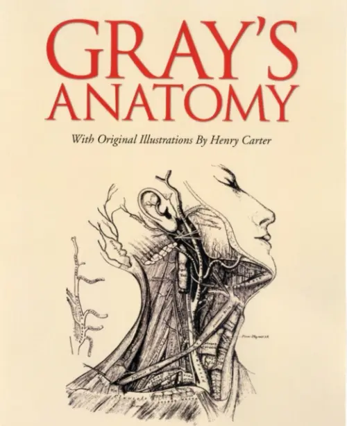 Grays Anatomy - Gray, Henry
