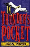 In Thunder's Pocket - Aiken, Joan
