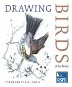 Drawing Birds - John Busby