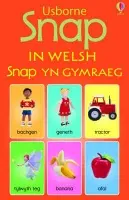 Snap in Welsh - Brooks, Felicity