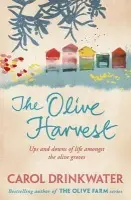 Olive Harvest - Drinkwater, Carol