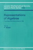 Representations of Algebras