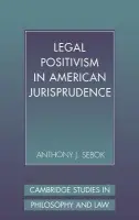 Legal Positivism in American Jurisprudence - Sebok, Anthony J. (Brooklyn College, City University of New York)