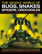 Deadly World of Bugs, Snakes, Spiders, Crocodiles and Hundreds of Other Amazing Reptiles and Insects - Taylor, Barbara a Green, Dr Jen a Farndon, John