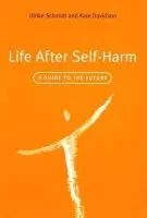 Life After Self-Harm - Schmidt, Ulrike a Davidson, Kate