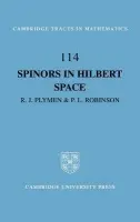 Spinors in Hilbert Space - Plymen, Roger (University of Manchester) a Robinson, Paul (University of Florida)