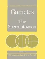 Gametes - The Spermatozoon