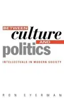 Between Culture and Politics - Eyerman, Ron