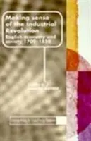 Making Sense of the Industrial Revolution - King, Steve a Timmins, Geoff