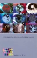 Experimental Cinema in the Digital Age - Le Grice, Malcolm