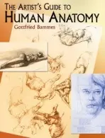 Artist's Guide to Human Anatomy - Bammes, Gottfried
