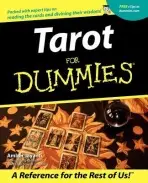 Tarot For Dummies - Jayanti, Amber