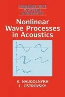 Nonlinear Wave Processes in Acoustics - Naugolnykh, K. (University of Colorado, Boulder) a Ostrovsky, L. (University of Colorado, Boulder)