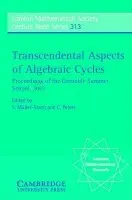 Transcendental Aspects of Algebraic Cycles