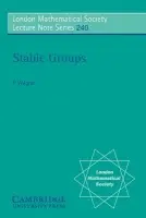 Stable Groups - Wagner, F. (University of Oxford)