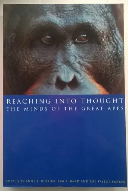 Reaching into Thought