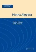 Matrix Algebra - Abadir, Karim M. (University of York) a Magnus, Jan R. (Universiteit van Tilburg)