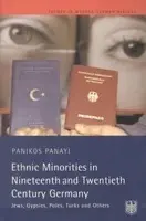 Ethnic Minorities in 19th and 20th Century Germany - Panayi, Panikos