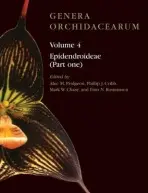 Genera Orchidacearum Volume 4