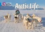 Arctic Life - Callery, Sean