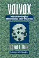 Volvox - Kirk, David L. (Washington University, St Louis)