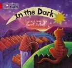 In the Dark - Llewellyn, Claire