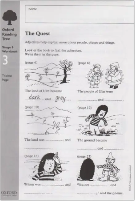 Oxford Reading Tree: Level 9: Workbooks: Workbook 3: The Quest and Survival Adventure (Pack of 6) - Page, Thelma