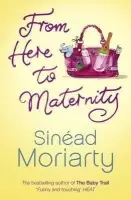 From Here to Maternity - Moriarty, Sinead