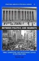 Between Politics and Markets - Lin, Yi-min (Hong Kong University of Science and Technology)