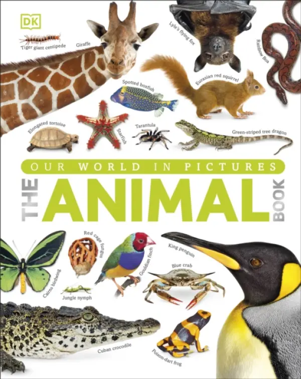 The Animal Book - DK