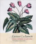 Genus Cyclamen - Sellars, Pandora a King, Christabel