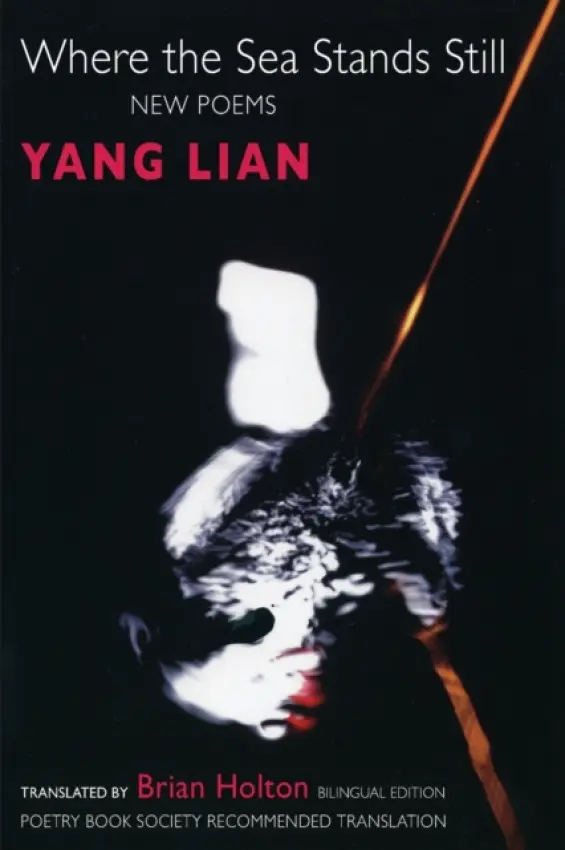 Where the Sea Stands Still - Lian, Yang