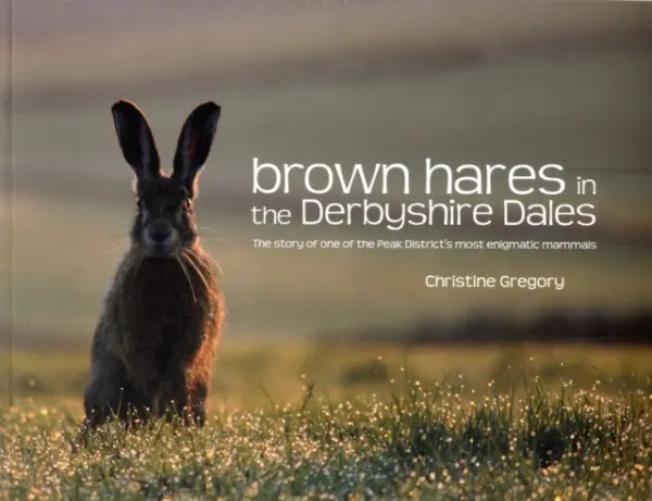 Brown Hares in the Derbyshire Dales - Gregory, Christine
