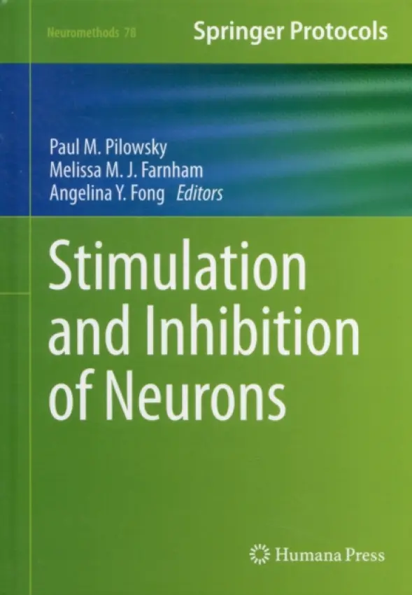 Stimulation and Inhibition of Neurons